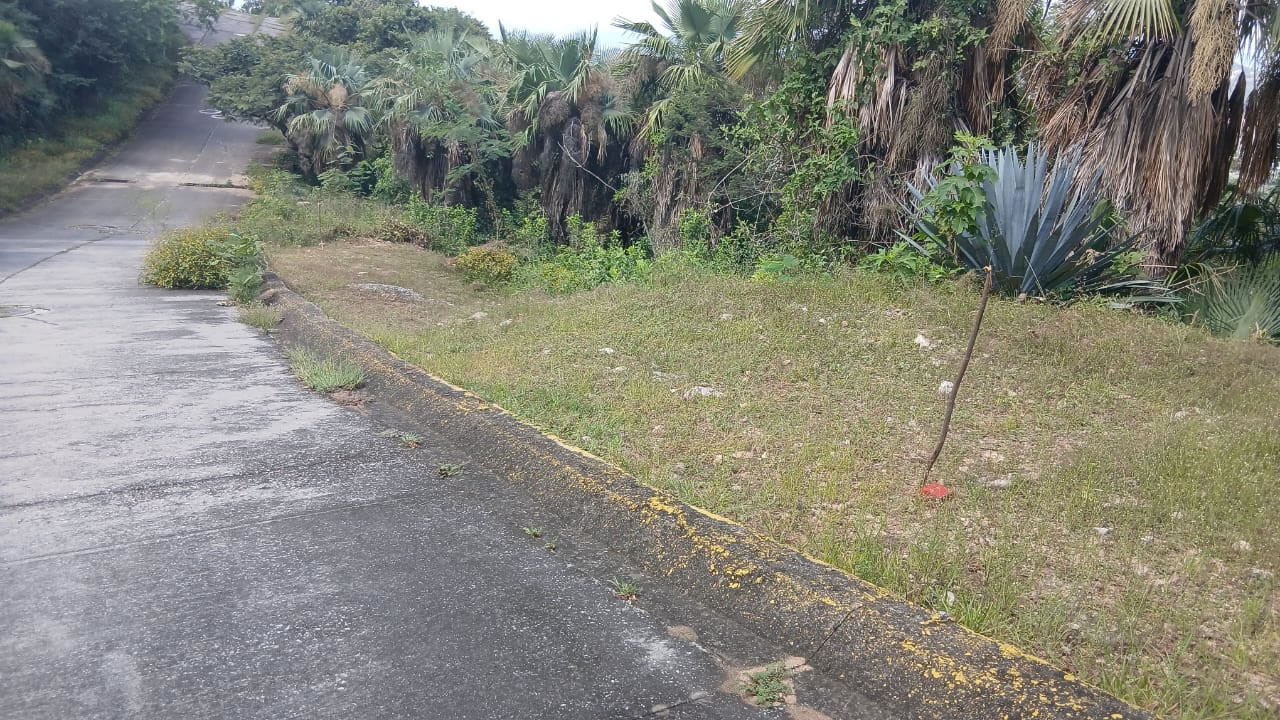 terreno_panoramico_cover